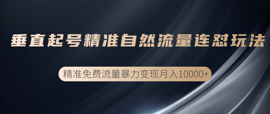 垂直起号精准自然流量连爆玩法，精准引流暴力变现月入10000+-千羽资源库