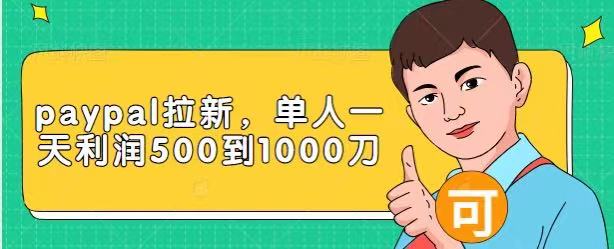 Paypal拉新赚美刀项目，单人一天利润500-1000刀【视频课程】-千羽资源库