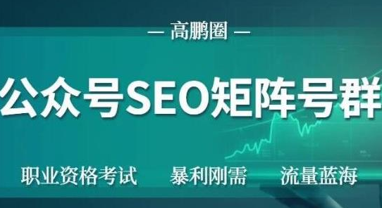 高鹏圈公众号SEO矩阵号群，实操20天纯收益25000+，普通人都能做-千羽资源库