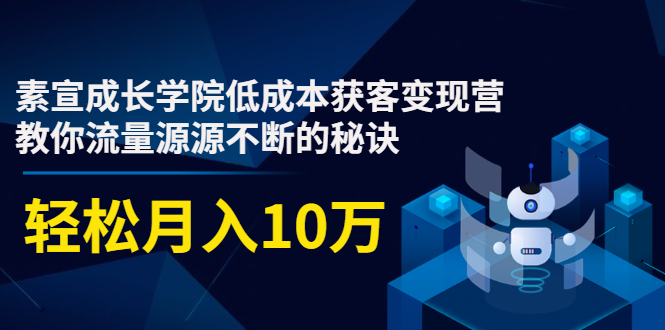 素宣成长学院低成本获客变现营，教你流量源源不断的秘诀，轻松月入10万-千羽资源库