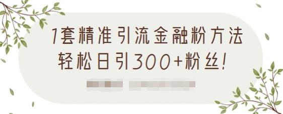 1套精准引流金融粉方法，轻松日引300+粉丝-千羽资源库