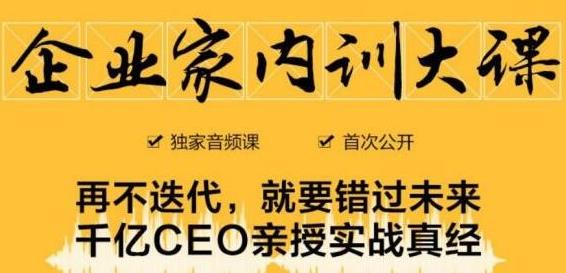 企业家内训大课，未来企业必学经验，价值1299元-千羽资源库