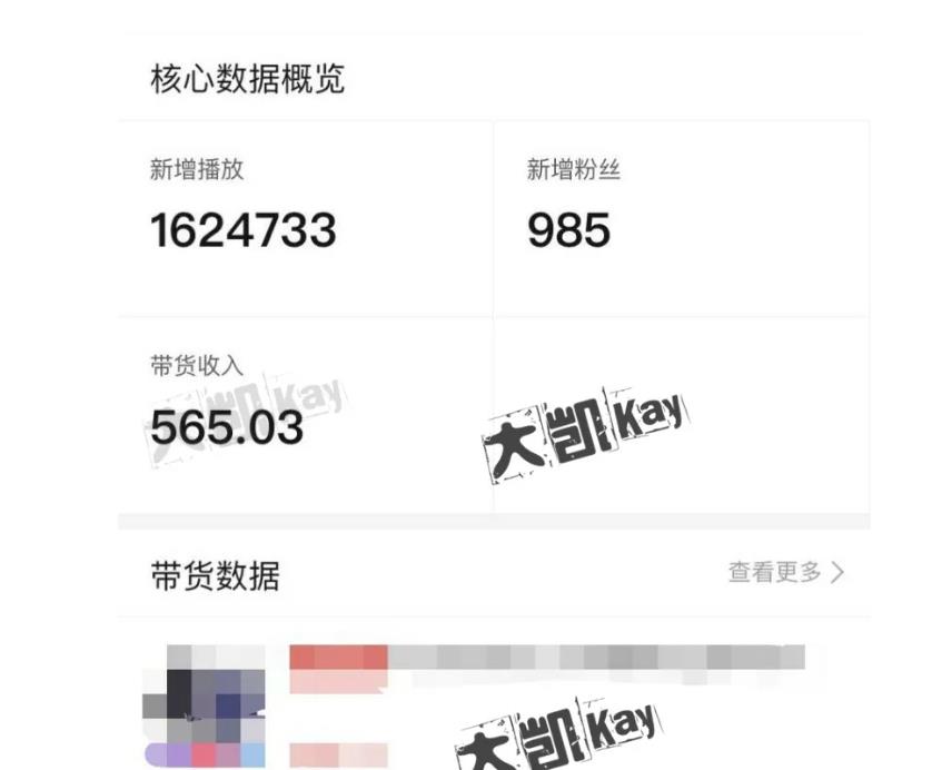 大凯进阶圈新玩法之拼多多视频玩法，利润大概一个号一天能有500~1500的左右!-千羽资源库