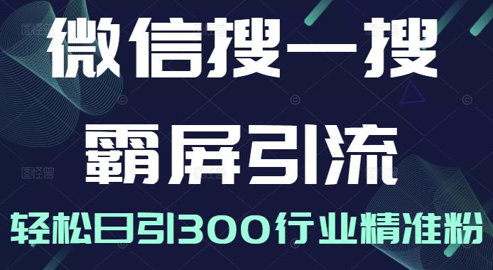 微信搜一搜霸屏引流课，打造被动精准引流系统，轻松日引300行业精准粉-千羽资源库