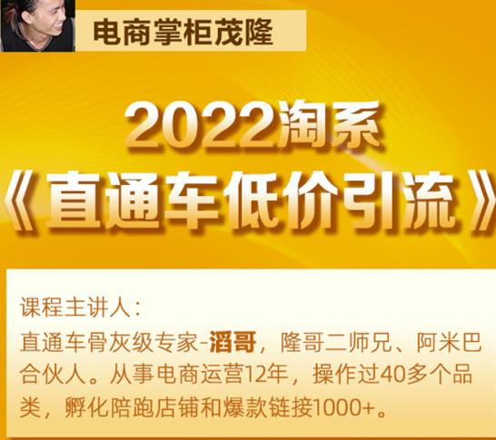 茂隆2022直通车低价引流玩法，教大家如何低投入高回报的直通车玩法-千羽资源库