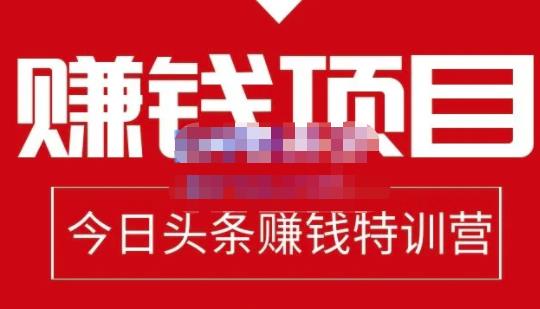 懒人领域·今日头条项目玩法，头条中视频项目，单号收益在50—500可批量-千羽资源库