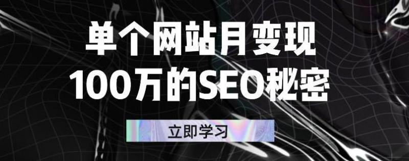 单个网站月变现100万的SEO秘密，百分百做出赚钱站点-千羽资源库