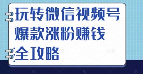 玩转微信视频号爆款涨粉赚钱全攻略，让你快速抓住流量风口，收获红利财富-千羽资源库