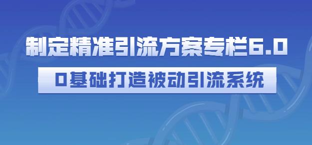 制定精准引流方案专栏6.0，0基础打造被动引流系统-千羽资源库