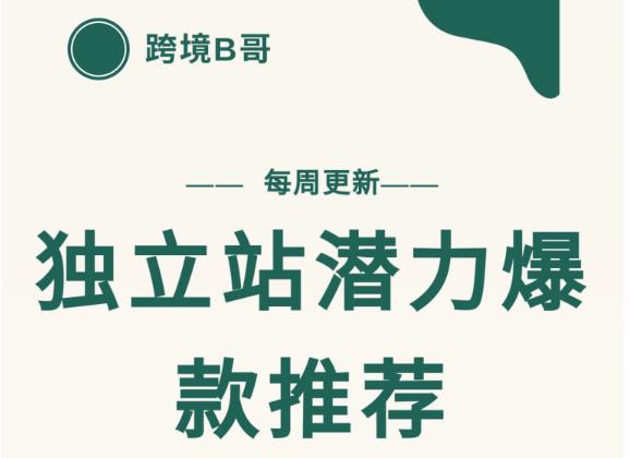 【跨境B哥】独立站潜力爆款选品推荐，测款出单率高达百分之80-千羽资源库