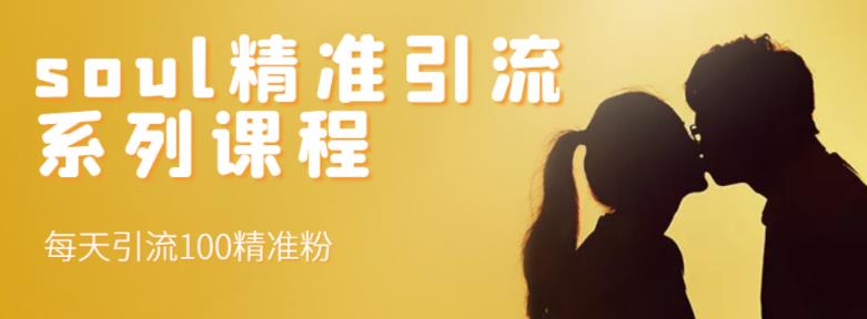 soul精准引流系列课程，每天引流100精准粉-千羽资源库