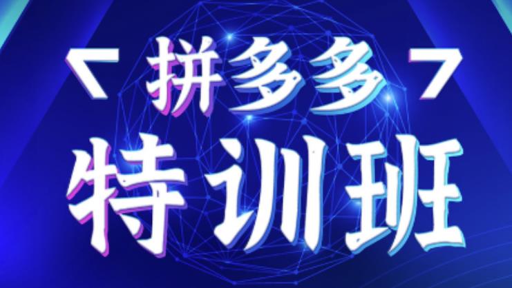 星雪教育·拼多多基础班+进阶班+突破班，用系统的学习模式快速改变现状价值3580元-千羽资源库