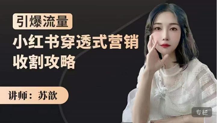 苏歆：小红书穿透式营销收割攻略，引爆流量，助你玩转小红书-千羽资源库