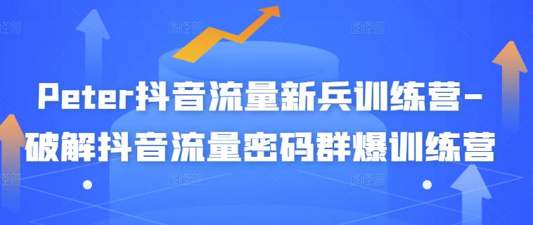 Peter抖音流量新兵训练营-破解抖音流量密码群爆训练营（新兵）-千羽资源库