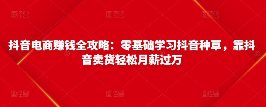 抖音电商赚钱全攻略：零基础学习抖音种草，靠抖音卖货轻松月薪过万-千羽资源库