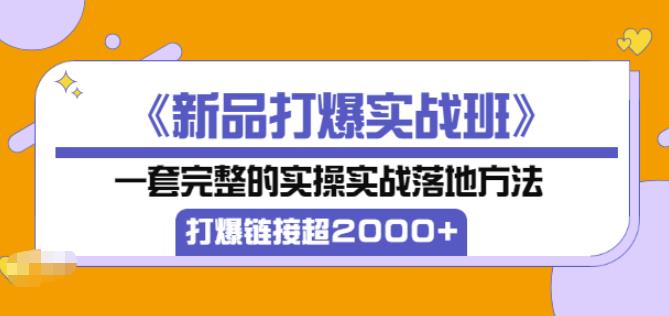 凌童《新品打爆实战班》,一套完整的实操实战落地方法，打爆链接超2000+（28节课)-千羽资源库