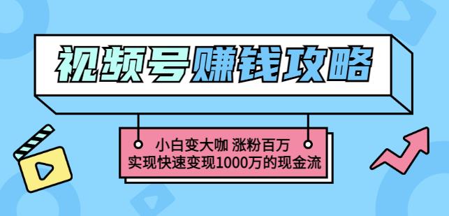 玩转微信视频号赚钱：小白变大咖涨粉百万实现快速变现1000万的现金流-千羽资源库