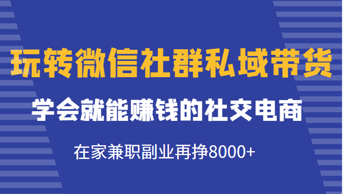 玩转微信社群私域带货，学会就能赚钱的社交电商，在家兼职副业再挣8000+-千羽资源库