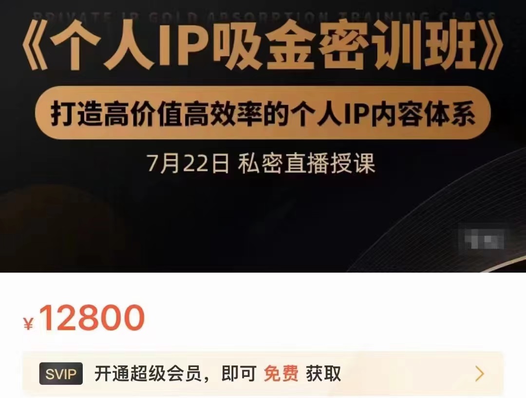 个人IP吸金密训班，打造高价值高效率的个人IP内容体系（价值12800元）-千羽资源库