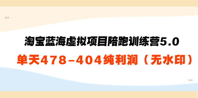 淘宝蓝海虚拟项目陪跑训练营5.0：单天478纯利润-千羽资源库