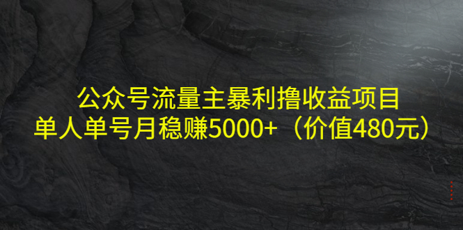 公众号流量主暴利撸收益项目，单人单号月稳赚5000+（价值480元）-千羽资源库
