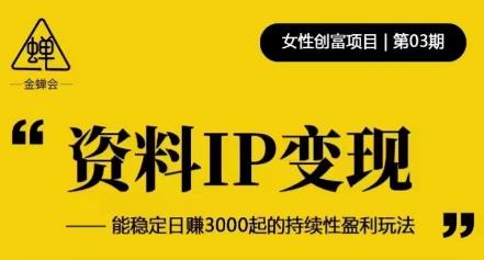资料IP变现，能稳定日赚3000起的持续性盈利玩法-千羽资源库