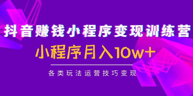抖音赚钱小程序变现训练营：小程序月入10w+各类玩法运营技巧变现-千羽资源库