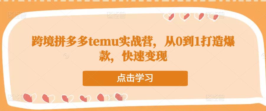 跨境拼多多temu实战营，从0到1打造爆款，快速变现-千羽资源库