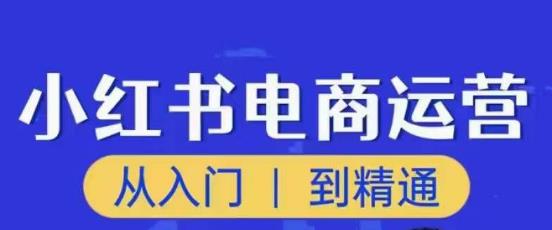 顽石小红书电商高阶运营课程，从入门到精通，玩法流程持续更新-千羽资源库