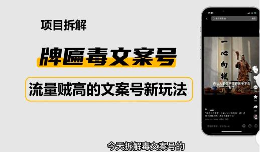 2023抖音快手毒文案新玩法，牌匾文案号，起号快易变现-千羽资源库
