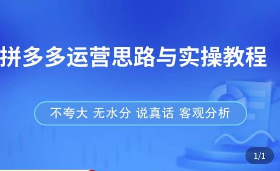 拼多多店铺运营思路与实操教程，快速学会拼多多开店和运营，少踩坑，多盈利-千羽资源库