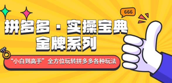 拼多多·实操宝典：金牌系列“小白到高手”带你全方位玩转拼多多各种玩法-千羽资源库