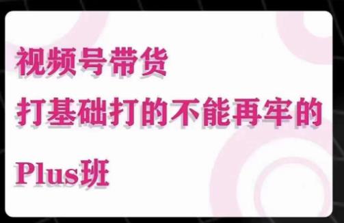 大播汇·视频号带货Puls班，视频号底层逻辑，起号自然流鱼塘等玩法-千羽资源库