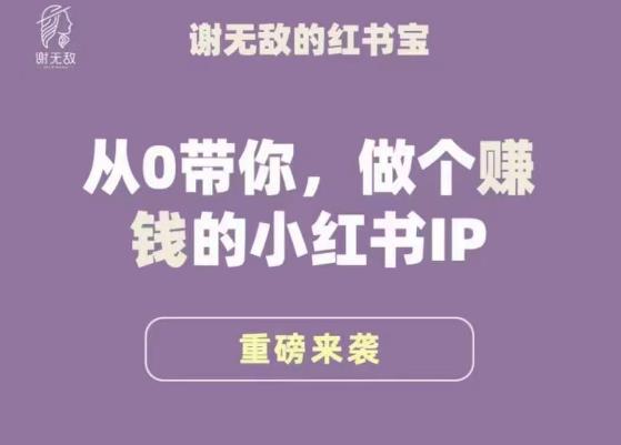 谢无敌·小红书运营大宝典，从0带你做个赚钱的小红书IP-千羽资源库