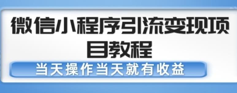 微信小程序引流变现项目教程，当天操作当天就有收益，变现不再是难事-千羽资源库