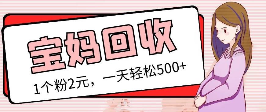 最新宝妈粉回收变现计划及胎教音乐高端变现玩法全套教程！（非老玩法）-千羽资源库