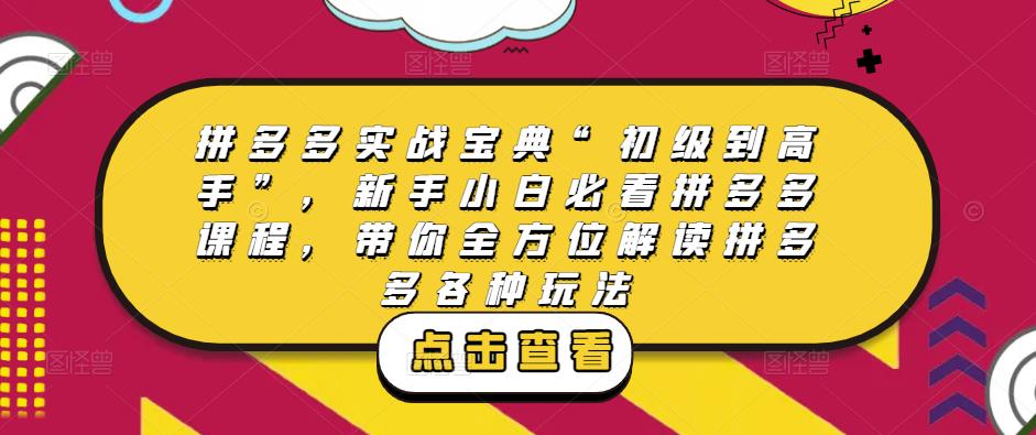 拼多多实战宝典“初级到高手”，新手小白必看拼多多课程，带你全方位解读拼多多各种玩法-千羽资源库