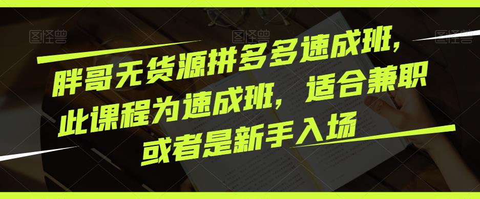 胖哥无货源拼多多速成班，此课程为速成班，适合兼职或者是新手入场-千羽资源库