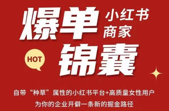 无畏·小红书商家爆单锦囊，掌握小红书各大规则，快速精准抢占行业和市场-千羽资源库