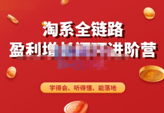 淘系全链路盈利增长闭环进阶营，融合全店动销，学得会、听得懂、能落地！-千羽资源库