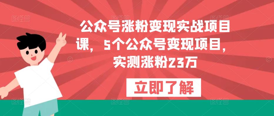 公众号涨粉变现实战项目课，5个公众号变现项目，实测涨粉23万-千羽资源库