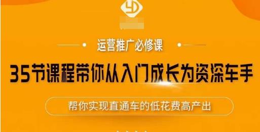 35节课程带你从入门成长为资深车手，让系统学习直通车成为可能，帮你实现直通车的低花费高产出-千羽资源库