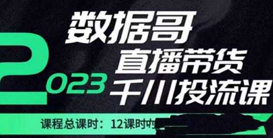 数据哥2023直播电商巨量千川付费投流实操课，快速掌握直播带货运营投放策略-千羽资源库