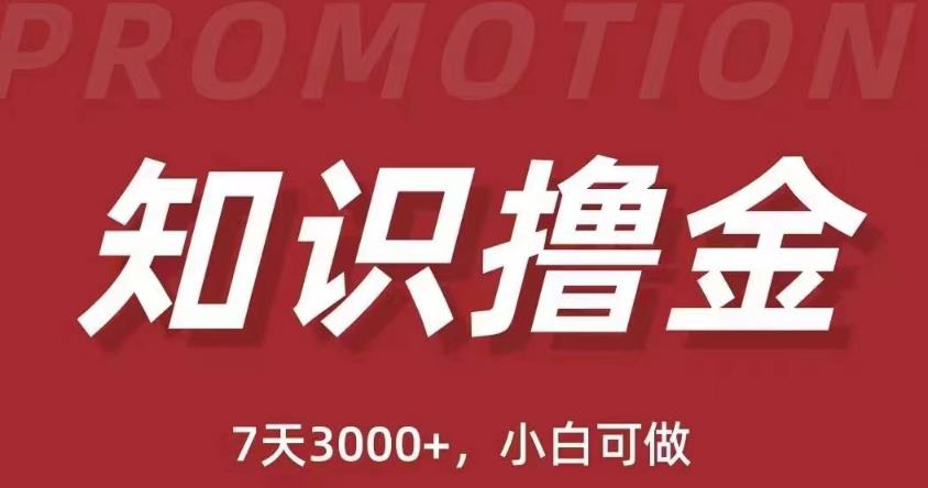 抖音知识撸金项目：简单粗暴日入1000+执行力强当天见收益(教程+资料)-千羽资源库