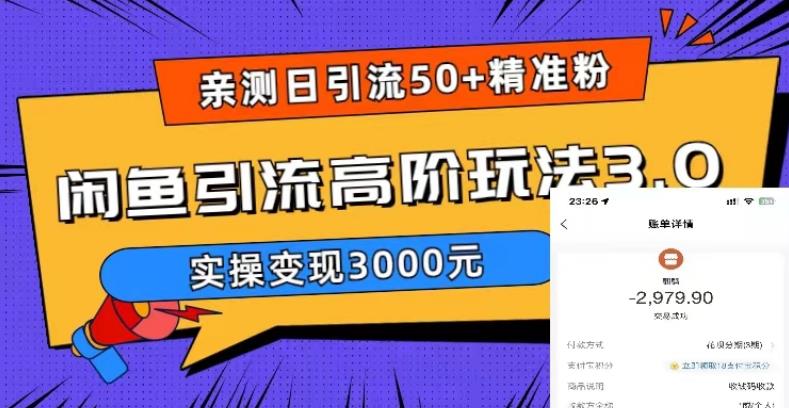亲测日引50+精准粉，闲鱼引流高阶玩法3.0，实操变现3000元【揭秘】-千羽资源库
