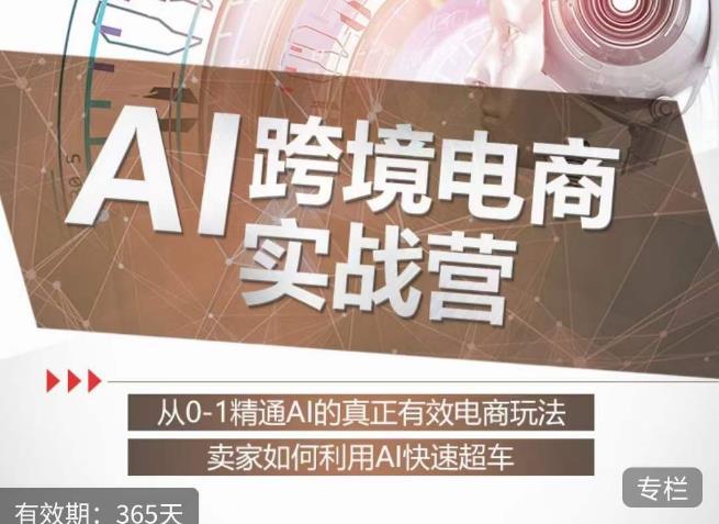 白龙老师·AI跨境电商实战营：从0-1精通Al的真正有效电商玩法，卖家如何利用Al快速超车-千羽资源库