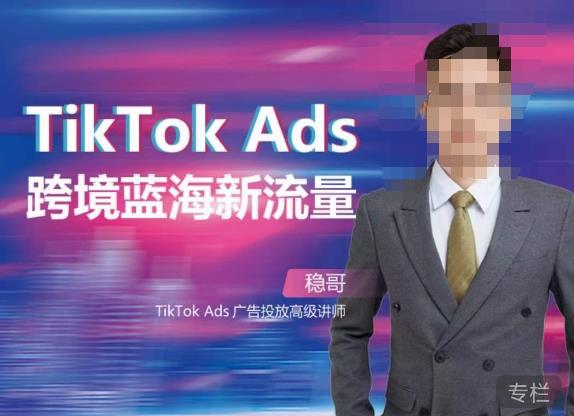 稳哥·如何投出高ROI的TikTok广告，开拓独立站卖家流量新蓝海-千羽资源库