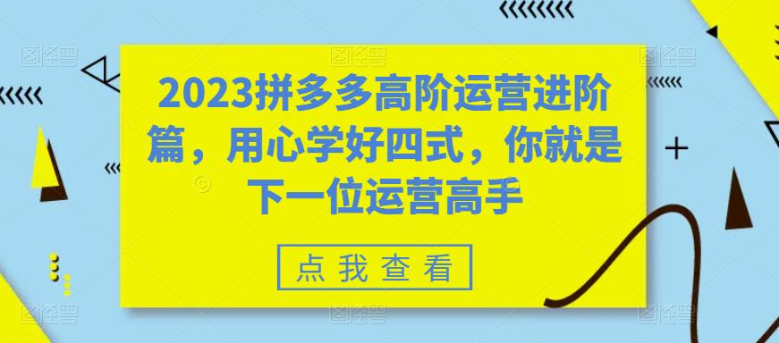 2023拼多多高阶运营进阶篇，用心学好四式，你就是下一位运营高手-千羽资源库