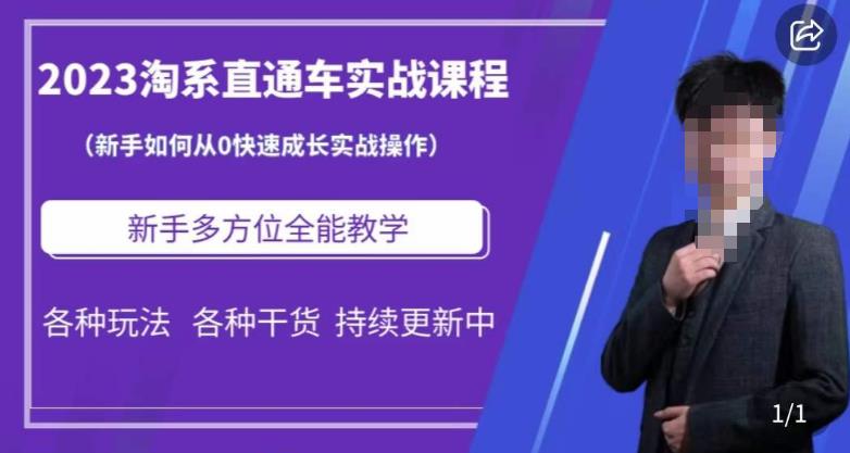 2023淘系直通车保姆式运营讲解，新手如何从0快速成长实战操作，新手多方位全能教学-千羽资源库
