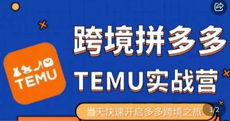 大鹏出海·拼多多跨境temu运营指导，开店注册+选品+核价上架，日出千单实战课-千羽资源库